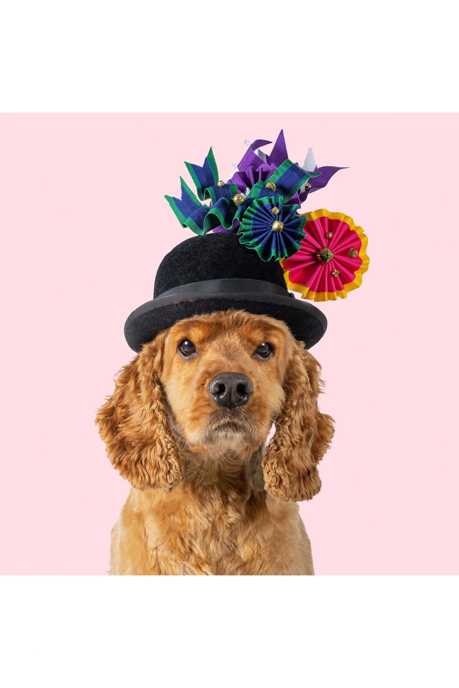 Haute Dogs Calendar 2024 - Image 2
